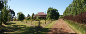 homestead_slider_background